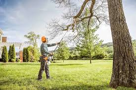 Best Seasonal Cleanup (Spring/Fall)  in Edwards Af, CA